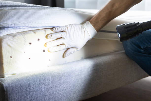 Best Affordable Exterminators  in Conrad, MT